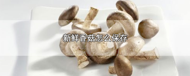 新鲜香菇怎么保存-最新新鲜香菇怎么保存整理解答