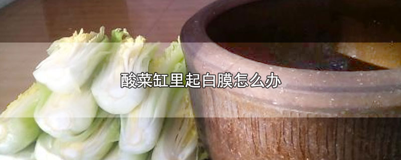 酸菜缸里起白膜怎么办-最新酸菜缸里起白膜怎么办整理解答