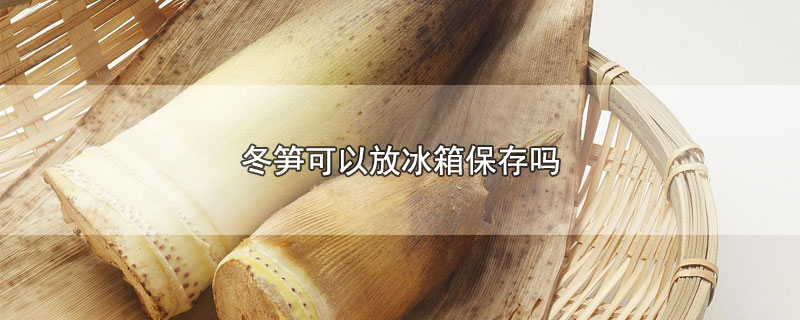 冬笋可以放冰箱保存吗-最新冬笋可以放冰箱保存吗整理解答