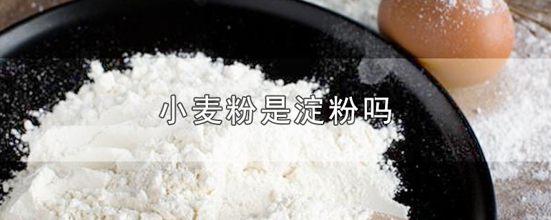 小麦粉是淀粉吗-最新小麦粉是淀粉吗整理解答