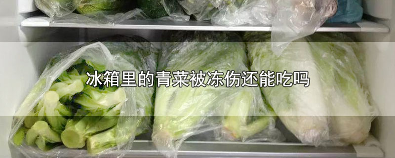 冰箱里的青菜被冻伤还能吃吗-最新冰箱里的青菜被冻伤还能吃吗整理解答