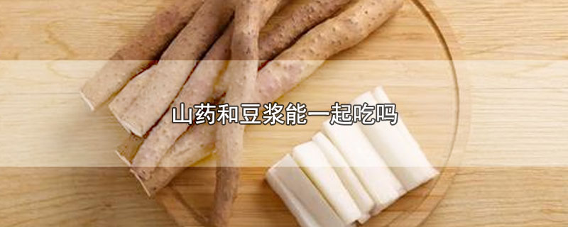 山药和豆浆能一起吃吗