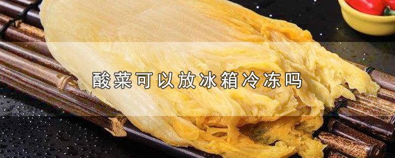 酸菜可以放冰箱冷冻吗