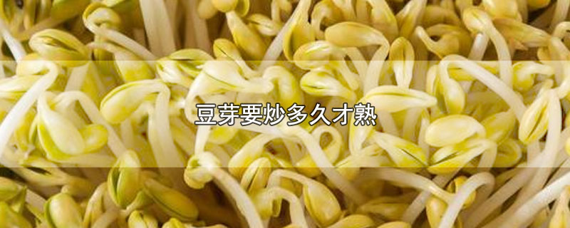 豆芽要炒多久才熟