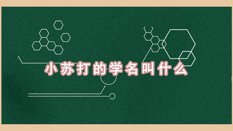 小苏打的学名叫什么-最新小苏打的学名叫什么整理解答