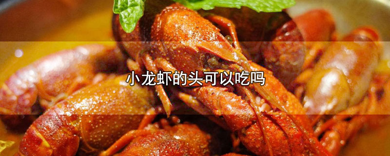 小龙虾的头可以吃吗-最新小龙虾的头可以吃吗整理解答