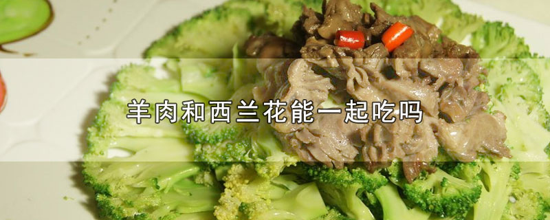 羊肉和西兰花能一起吃吗-最新羊肉和西兰花能一起吃吗整理解答