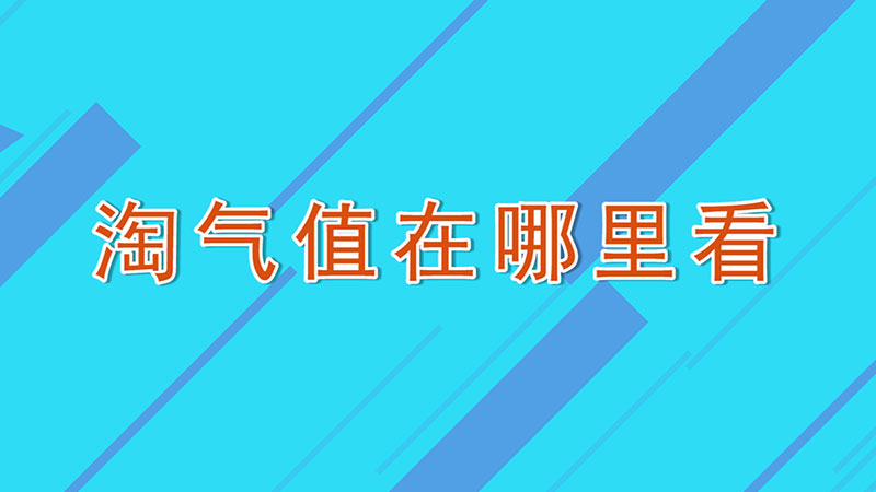 淘气值在哪里看-最新淘气值在哪里看整理解答