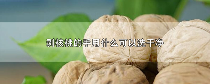 剥核桃的手用什么可以洗干净-最新剥核桃的手用什么可以洗干净整理解答