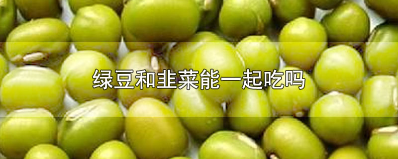 绿豆和韭菜能一起吃吗-最新绿豆和韭菜能一起吃吗整理解答