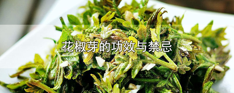 花椒芽的功效与禁忌-最新花椒芽的功效与禁忌整理解答