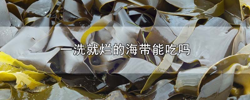 一洗就烂的海带能吃吗-最新一洗就烂的海带能吃吗整理解答