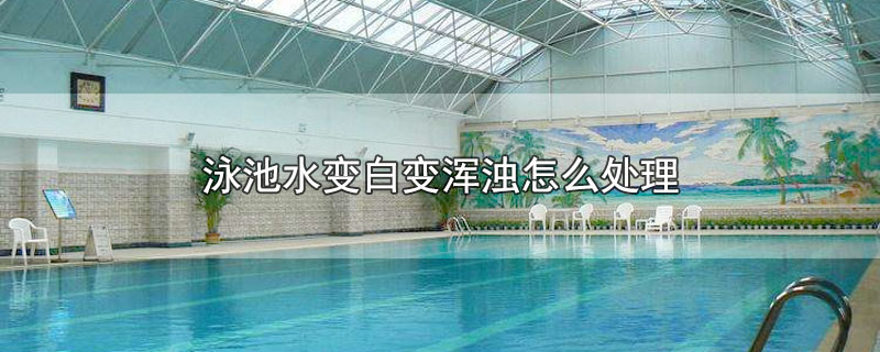 泳池水变白变浑浊怎么处理-最新泳池水变白变浑浊怎么处理整理解答