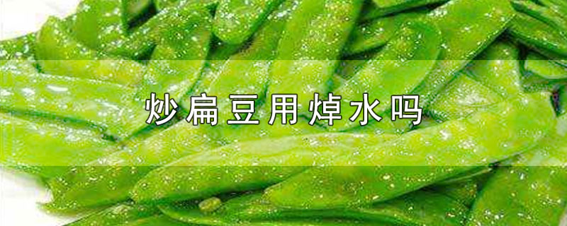 炒扁豆用焯水吗-最新炒扁豆用焯水吗整理解答