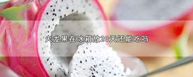 火龙果在冰箱放20天还能吃吗-最新火龙果在冰箱放20天还能吃吗整理解答