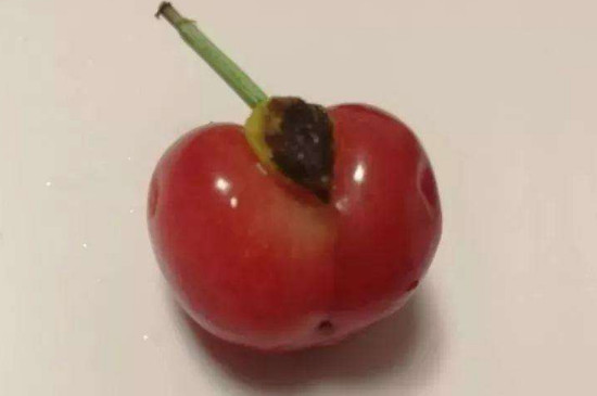 樱桃上有个小疙瘩还能吃吗-最新樱桃上有个小疙瘩还能吃吗整理解答
