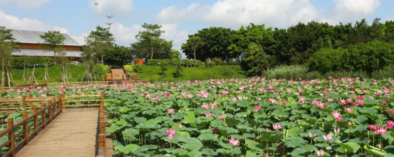 夏季干燥还是冬季干燥-最新夏季干燥还是冬季干燥整理解答