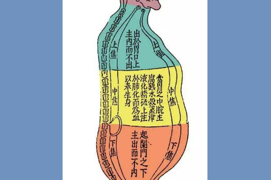 下焦是哪个位置-最新下焦是哪个位置整理解答