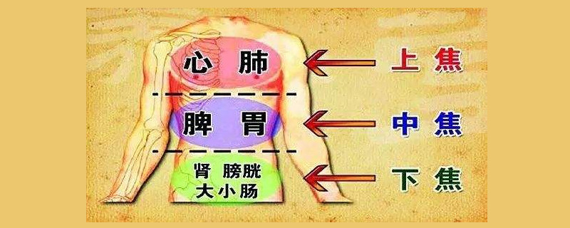 下焦是哪个位置-最新下焦是哪个位置整理解答