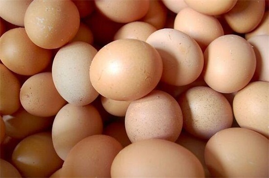 鹌鹑蛋可以和鸡蛋一起吃吗-最新鹌鹑蛋可以和鸡蛋一起吃吗整理解答