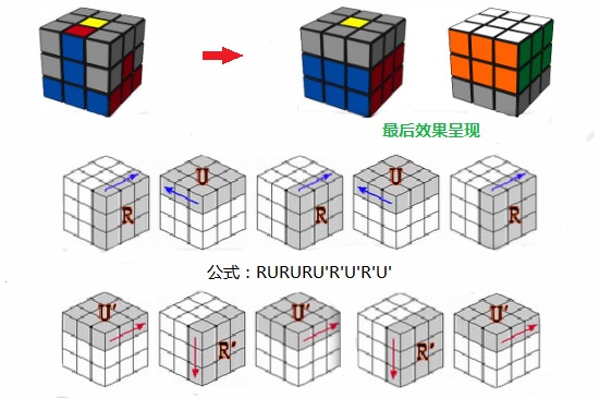 魔方新手入门-最新魔方新手入门整理解答