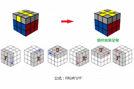 魔方新手入门-最新魔方新手入门整理解答