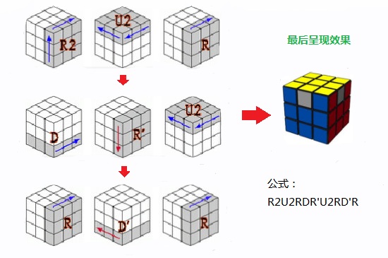 魔方新手入门-最新魔方新手入门整理解答