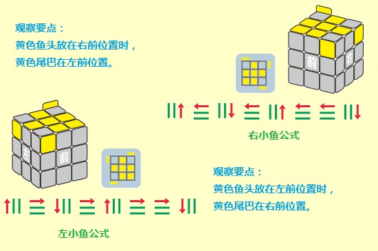 菜鸟三阶魔方还原图解-最新菜鸟三阶魔方还原图解整理解答