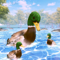 鸭子家庭生活模拟器3D(DuckFamilyLifeSimulator3D)