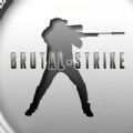 野蛮打击(BrutalStrikev2876)