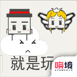 就是玩儿(正版)