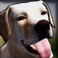 狗舍模拟器3D(DogShelter3D)