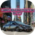 卡洛斯大城市模拟汽车(CARROSREBAIXADOSELITEBRBIGCITY)