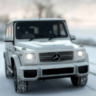 G65停车模拟器(G65Simulator)