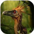 特罗顿模拟器(Troodon Simulator)