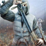 忍者刺客格斗(NinjaassassinsFighter)