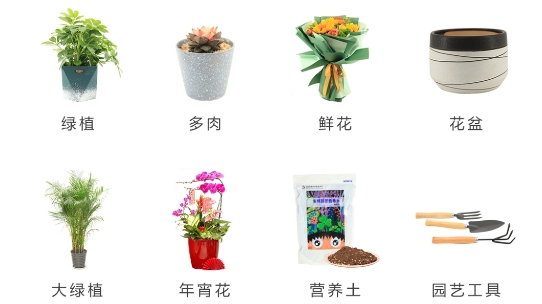 北京花卉APP下载-北京花卉app最新版v1.1.5安卓版