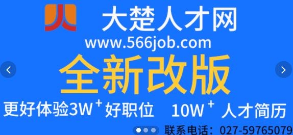 大楚人才网APP下载-大楚人才网招聘app官方版v1.1.3安卓版