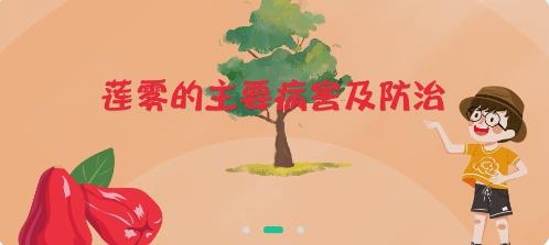 电视夜校APP下载-海南乡村振兴电视夜校app手机版v1.14安卓版