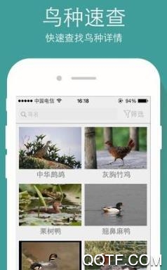 拍照识物APP下载-随手拍照识物在线识别最新版v1.1.0安卓版