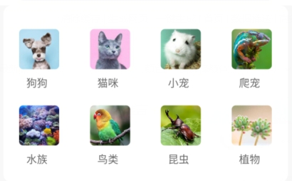 宠物王国APP下载-宠物王国app领养条件v4.4.5最新版