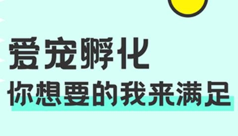 西瓜桌面宠物APP下载-西瓜桌面宠物手机版v3.0.0.1最新版