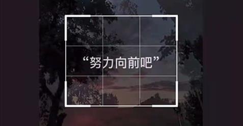 视频去水印星球APP下载-视频去水印星球手机客户端v1.2安卓版