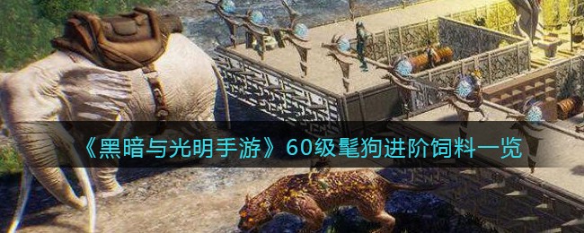 黑暗与光明手游60级髦狗进阶饲料分享-黑暗与光明手游60级髦狗进阶饲料怎么收集