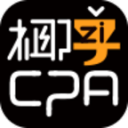 椰子CPA云笔记