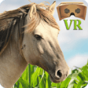 VR Horse Ride