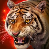 老虎模拟狩猎3D v1.4