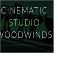 Cinematic Studio Woodwinds v1.66