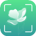 识花君植物识别 v1.2