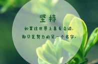 美文美句软件大全-美文,美句APP软件有哪些推荐